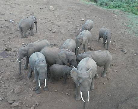 Aberdare højlandet kenya africa tours