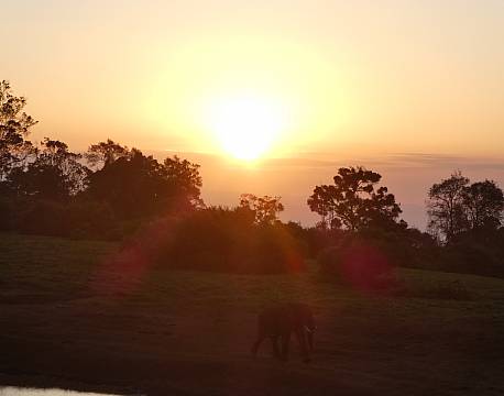 Aberdare højlandet kenya africa tours