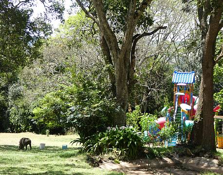 Aberdare Country Club Aberdare Kenya africa tours