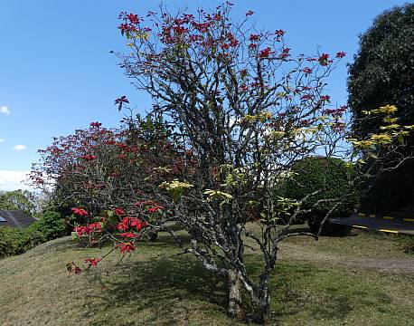 Aberdare Country Club Aberdare Kenya africa tours