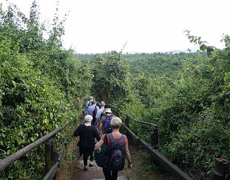 The Ark Aberdare Kenya africa tours