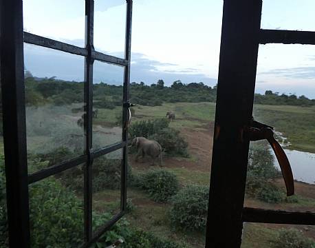 The Ark Aberdare Kenya africa tours