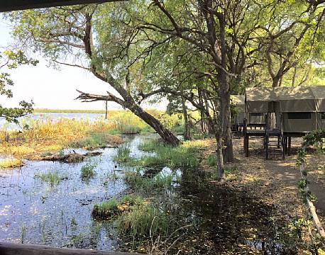 Pepere Island Lodge botswana 3 africa tours