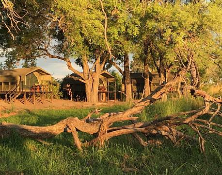 Pepere Island Lodge botswana 1 africa tours