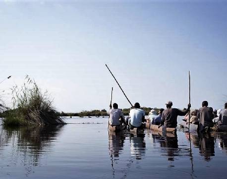 Pepere Island Lodge botswana 8 africa tours