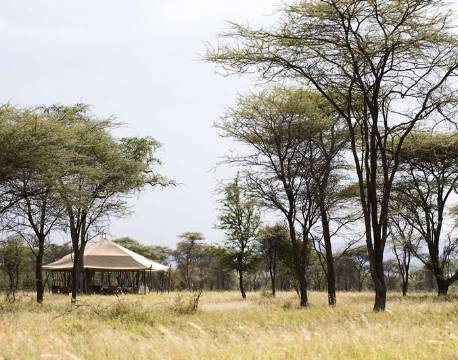 Ndutu Under Canvas tanzania 4 africa tours