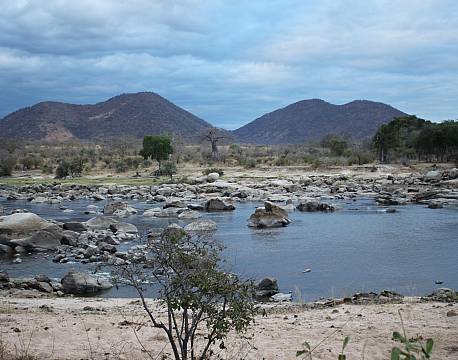 Ruaha N.P tanzania sydafrika africa tours