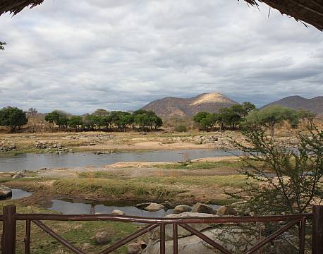 Ruaha River Lodge tanzania 7 africa tours