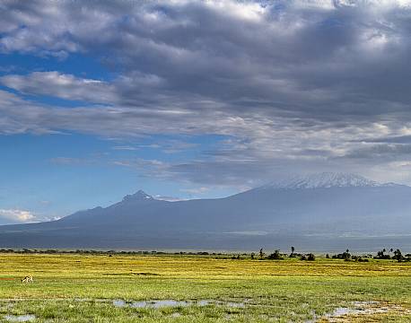 Amboseli kenya africa tours