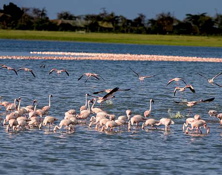 Amboseli kenya africa tours
