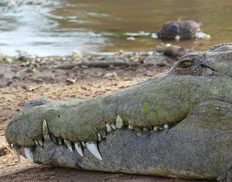 Samburu kenya africa tours
