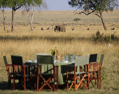 Governors Camp kenya 9 africa tours 