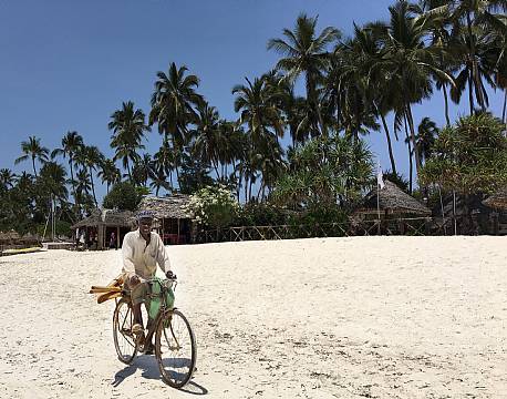 Zanzibar Tanzania indiske ocean africa tours