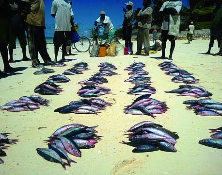 Zanzibar Tanzania indiske ocean africa tours