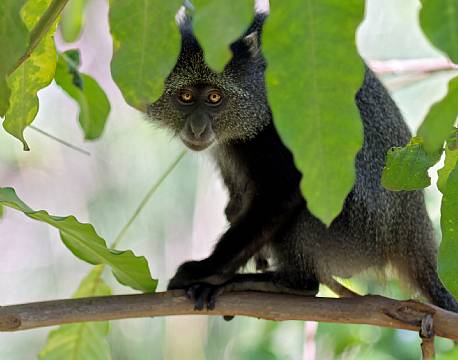 Lake Manyara Tanzania africa tours