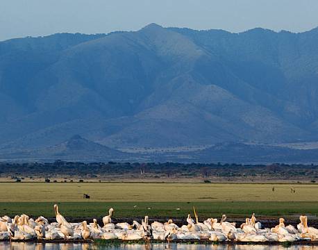 Lake Manyara Tanzania africa tours