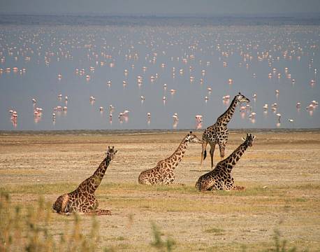 Lake Manyara Tanzania africa tours