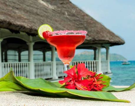 Le Domain de la Reserve, Seychellerne 9 africa tours