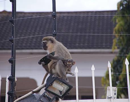 Entebbe Uganda africa tours