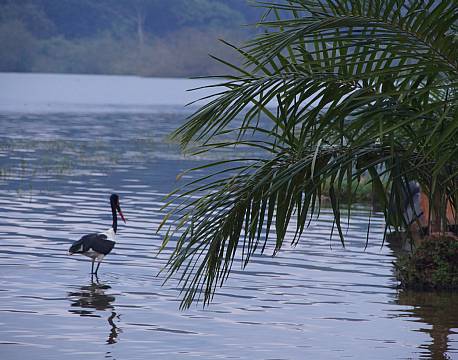 Entebbe Uganda africa tours