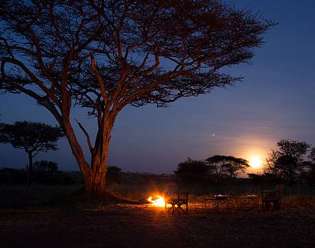 Serengeti Tanzania africa tours