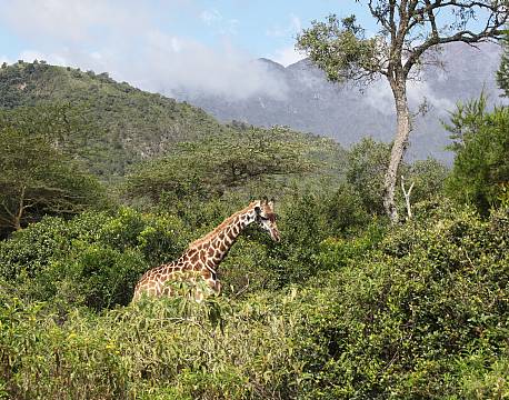 Arusha Tanzania africa tours