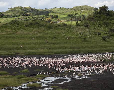 Arusha Tanzania africa tours