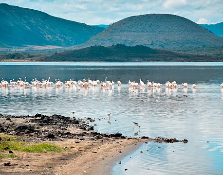 Lake Elementaita kenya africa tours