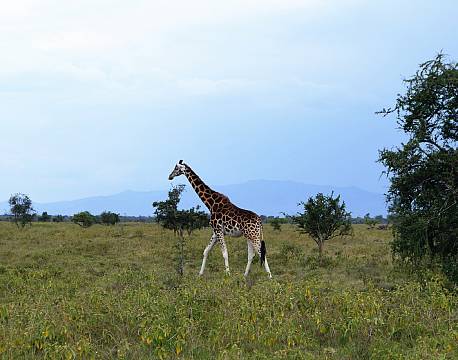 Lake Elementaita kenya africa tours