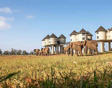 Salt Lick Lodge kenya 17 africa tours