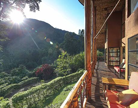 Mahogany Springs Bwindi uganda africa tours