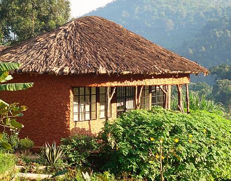 Mahogany Springs Bwindi uganda africa tours