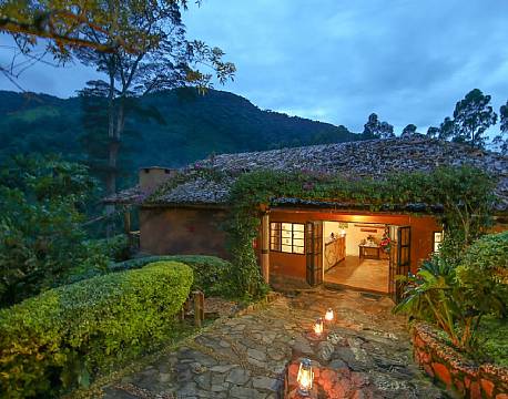 Mahogany Springs Bwindi uganda africa tours