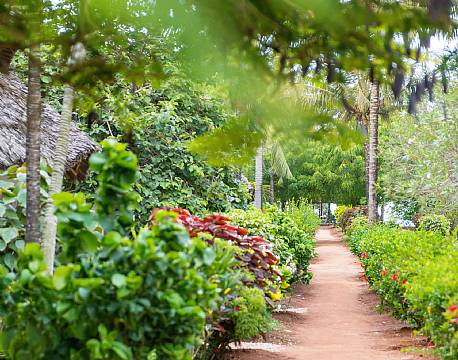 Sandies Baobab Beach zanzibar 9 africa tours