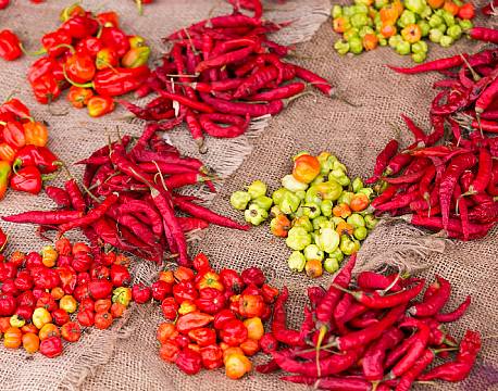 Zanzibar Tanzania indiske ocean africa tours