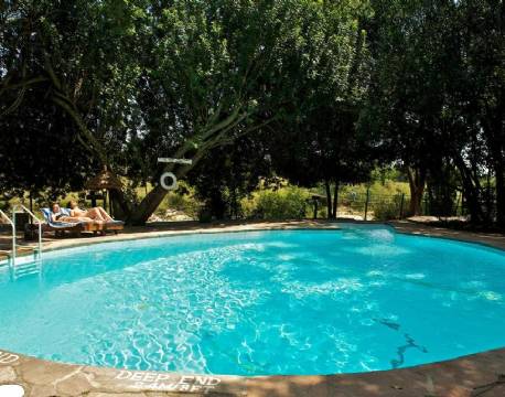  Mara Intrepids Camp kenya 7 africa tours