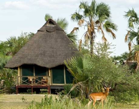 Maramboi Tented Lodge tanzania 1 africa tours