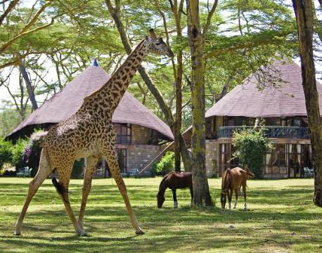 Lake Naivasha Sopa Lodge, Lake Naivasha, Kenya 2 africa tours
