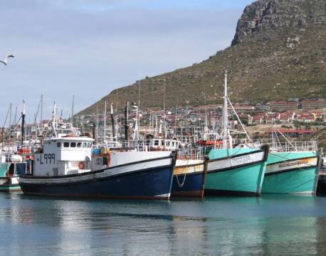 Cape Point/Kap halvøen sydafrika africa tours