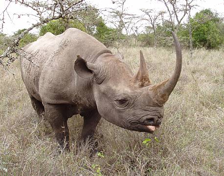 Sweetwaters kenya africa tours