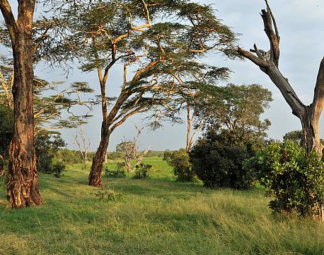 Sweetwaters kenya africa tours