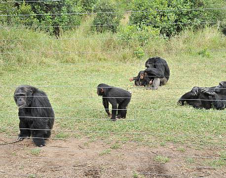 Sweetwaters kenya africa tours