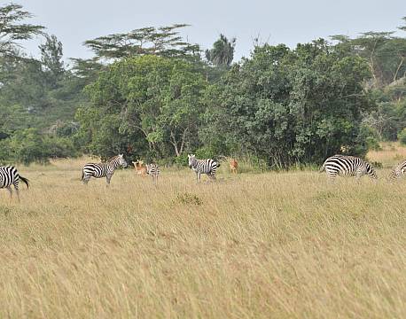 Sweetwaters kenya africa tours