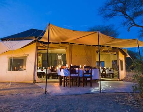 Standard telt på Kirurumu Camp, Tanzania 3 africa tours