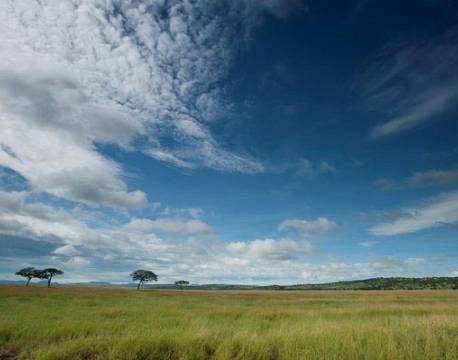 Serengeti Serena Lodge, Serengeti, Tanzania 5 africa tours