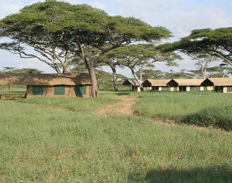 Naturen omkring Serengeti Kati Kati Tented Camp er fantastisk!