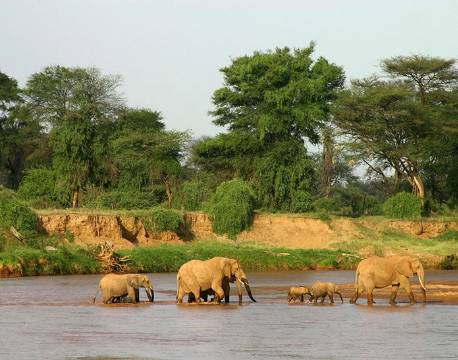 Samburu kenya africa tours