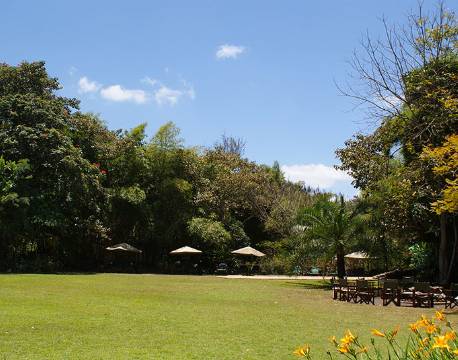 Bålplads samt haven på Moivaro Coffee Plantation Lodge, Arusha, Tanzania