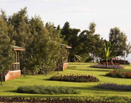 Haven på Ngorongoro Farm House, Ngorongoro Krateret, Tanzania 9 africa tours