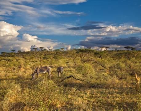 Samburu kenya africa tours